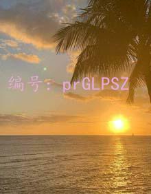 ̨