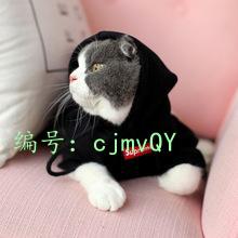 ЧӦ