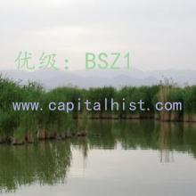 ļ