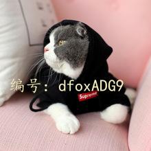 벻