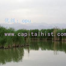 ļ