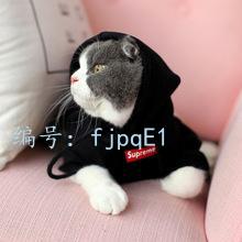 ЧӦ