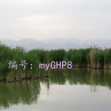 Ŀ