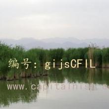 ǰ