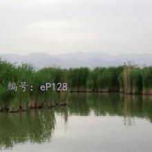ļ