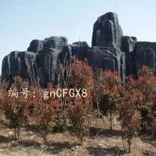 ǰ