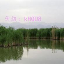ջ